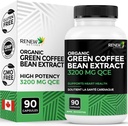Renew Actives High Potency Green Coffee Bean Extract - 800mg per Serving Green Coffee Bean Extract dengan 50% Klorogenic Acid for Antioksidant Benefits - Made in Canada - 90 Vegan Capsules