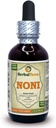 Herbal Terra LLC Noni (Morinda Citrofol) Tincture, Organik Diried Fruits Cair Extract 2 oz