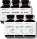 Smarter Nutrition Geat Health Progecs with Precipia - 100% Soil- Based Strains with MCT Oil for Digetical, Immune Health, Gut Microbiome - Vegetarian - 360 Count (Paket 6) - 180- Day Suppply