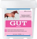 Gut ™ Pellets 124; Provinsi Gut Sehat untuk Kuda 124; Equine Prebiotic Powder & Probiotic 124; Horse Stomach Supplemen 124; 13,5 lb