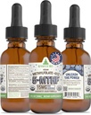 RawGuru L-Methylfolat 15 mg + Vitamin B12 - Metode Vegan Organik B12 dengan Trace Minetal - Nano - Diproses & Enhanced Liquid Formula - 300 Servis Vegan Drops per 30 ml, Kemasan 1