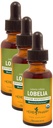 Herb Pharm Certified Organic Lobelia Liquid Extract for Musculoskeletal System Support - 1 Ounce (DLOBEL01) (Paket 3)