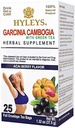 Teh GHILEYS Garcinia Camigia Green Tea dengan Acai Berry Flavor - 25 Tea Bags
