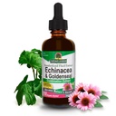 Nature 's Respon Echinacea & Goldenseal with Organic Alkohol, 2 - Fluid Ounces