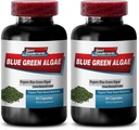 Murni Green Superfood dari Danau Klamath ke Property Healthier dan Muda Looking Skin - Blue Green Alga 500mg, Blue Green Algae Capsules, Blue Green Spirulina, spirulina, klorella - 2B 120 Cap