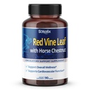 Red Vine Leaf dan Horse Chestnut, 50% Flavonoid untuk Dukungan Leg Vein, Kulit, Wellness Hati - dibuat di Amerika Serikat