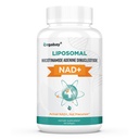 Organbasi Lipomal NAD + Suplemen 500 mg, Absorpsi Tinggi, Boost NAD + dengan TMG 250 mg, Actual NAD Plus More Efisien Daripada Nicotinamide Riboside, Dukungan Energi Cellular, Penuaan sehat 124; 60 Softgeels