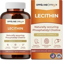 Pelajaran - 240 Softgels- Pendukung Kesehatan Otak