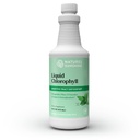 Chlorofil Mentari Alam - Dukungan kekebalan, Detox & Cleanse, Klorofil Drops dengan Spearmint Oil, Natural Energy Boost, Internal Deodoran - 16 Fl Oz