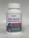 Moss Laut