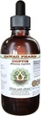 Coptis Alcohol- Free Liquid Extract, Coptis (Rhizoma Coptidis) Root Kering Glycerite Hawaii Pharm Natural Herbal Suplemen 2 oz