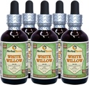Lembah Putih (Salix Alba) Glycerite, Organic Dried Bark Alkhol- Extract Liquid Fress (Nama merek: HerbalTerra, Proughtly dibuat di Amerika Serikat) 5x2 f.oz (5x60 ml)