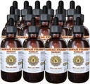 Hawaii Pharm Bawang putih (Allium sativum) Cair Extract 15x4 Oz