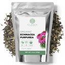 Echinacea Purpurea Organik 4 oz.