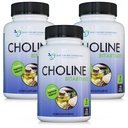 DOKTER RECOMMENDED SUPPLEMENTS Premium Chooline - 500 mg - 120 Veggie Capsules Supports Cognitive Health, Memory & More - 3 Pack