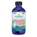 Anak Nordic 's DHA, Strawberry - 4 oz untuk Kids - 530 mg Omega-3 dengan EPA & DHA - Pembangunan Otak & Fungsi - Non-GMO - 48