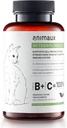 animaux - nutrisi untuk Kucing, All- Natural Cat Vitamin, Kucing Esentials untuk Strengthen The Ammune System & Natural Cell Protection, Sehat Skin & Shiny Coat, 120 Cherible Tablets, 120 Days Supply