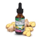 Nature 's Respon Ginger Root Extract Suplement with Organic Alkohol 1 Fluid Ounce 124; Join Pain Relief