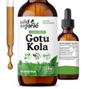 Wild & Organic Gotu Kola Herb Tsucture - Dukungan Otak - Gotu Kola Liquid Drops - Vegan, Sugar & Alcohol- Free Centella Asiatica Suplemen - 2 fl oz