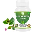 Paraarnava Capsules (Boerhaavia Diffusa) 500mg - 60 Veg Capsules 124; Herbal Wellness Suplement for Natural Kidney & Liver Dukung 124- Pembangunan Berdasarkan Detox & Cleansing Formula 126; Kemasan 1