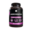 PURE ORIGINAL INGREDIENTS Andrographis Paniculata, (365 Capsules) Selalu Murni, Tidak Ada Addonist Atau Penjual, Lab Verified