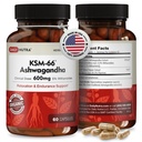DailyNutra KSM-66 Ashwagandha 600mg Root Extract - Potacy Suplemen Tinggi dengan 5% Witnollides 124; Relieves Tiredness, Supports Relaxation, Focus, Energy, & Muscle Growth (60 Capsules)