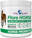 Planet Vital - Flora Horse Probiotic, Potency Equine Progities dengan Prestial, 40 Miliar Live CFU dari Multiple Strains, Digetical and Imune Dukung, 180 Delayed Rilis Capsules (180 Hari)