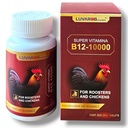 B- 12 200 Tablet untuk Roosters Burung