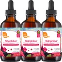 Zahler - Kishillus Liquid Drops Progration for Kids (4 Fl Oz) Certified Kosher, for Healthy Dibuble & Imune Duption - Fruit Flavored Children 's Probiotic Drops Suplemen (3 Pack)