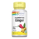 SOLARAY Fermentasi Ginger Root 400mg 124; 100 Veval Caps