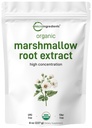Micro Ingregents Organic Marshmallow Root Powder, 8 Ounce, Pengisian Bebas dan Tradisional Digunakan, Support Digetical Gastrointestinal Kesehatan, Non-Irradiated dan No GMO, Vegan Friendly