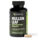 Katup Daun Mullein untuk Kesehatan Respiratory - 5000mg Ekstrak 10: 1 untuk Dukungan Lung dan Fungsi Imune - 90 Cacah - Vegan, Kapsul GMO Non- Herbal Tambahan untuk Wellness - 3 Bulan Tambahan
