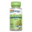 SOLARAY Bladdercrack Capsules 580 mg - Nutrient- Packed Seaweed Suplement, High in Iodin - Balanced Herbal Dukung - Vegan, Non-GMO, 60- Day Affitee, Lab Verifikasi - 100 Servanisasi, 100 VexCaps