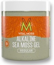 VitalMoss St Lucia Moss Gel Regular, Wildmade Alkali Sea Moss dengan Mineral Vitamin dan Antioksidants, Thyroid dan Imune Dukungan Supplemen, Raw, Unflamour dan Vegan Frid, 16oz