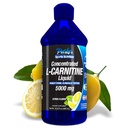 Parker berkonsentrasi cairan L-Carnitine, 5000mg Semua Citrus Natural Flavored L- Carnitine Suplemen, Liquid L- Carnitine dengan Vitamin V5, 16.23 Fl. Oz