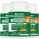 Lipomal Artemisinin Supplement 10000mg, Sweet Wormwood Extract dengan 200mg Quercetin Phyttoome, Maksimum Absorpsi untuk Antioksidant 180 Capsules