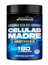 VTAAMISAN Celulas Madres 180 Capsules - Sram Cell Blue Green Algae - Non GMO Free AFA -Celula Madre Suplemen - Lion 's Mane Beta Glucan Supports Healthy Aging & Promos Immune Spirulina.