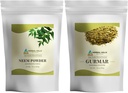 HERBAL HILLS Neem Leaf Powder dan Gurmar Powder Gymnema Sylvestre Pack dari 2 Combo