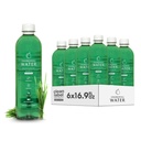 Chlorofil Air - Clorofil Chlorofil 6- Pack (16.9oz): Beauty Drink for Glowing Skin, Anti- Aging & Oksigen Boost 126; Vitamin A, B12, C, D 14; Vitamin Water 126; Clean Label 126; Dukungan Hidration