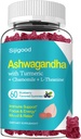 Ashwagandha Gummies, Dukung untuk Kebal, Relaksasi, Suplemen Ashwagandha untuk Pria & Perempuan, Flavor Blueberry Alam, 60 Count