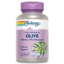 OLARAY Olive 250mg - Olive Leaf Extract Capsules dengan 22% Oleuropein, Plus Lemon Balm - Polyphenols Support Wellness - Vegan, garansi 60-Day, Lab Verified - 120 Servis, 120 Vexics