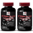 Meningkatkan dorongan seks - TRIBULUS TERRESTRIS EXTRACT - Tribulus terstris ekstrak untuk sumber energi, pil drive Seks untuk pria dan wanita, pil berkendara Seks, Libido penguat - 2 Botol 180 tablet