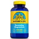 Natures Life Render Magnesium 500 mg - Citrate, Malate, Oxide Plus Vitamin B-6 - Otot dan Nerves Dukungan - Lab Verifikasi (250 Servis, 250 VevCaps)