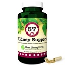 Jalur Perak 37 Canine Kidney Dukungan - Herbal Dog Suplemen - Dukungan Alam Blend untuk Normal Ginney & Bladder Fungsi - 90 Kapsul