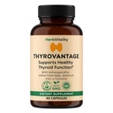 Tambahan Dukungan Tiroid - Iodin, Kelp, Ashwagandha, Selenium, Zinc - Pendukung Energi, Metabolisme & Hormone Keseimbangan - L- Tyrosine, Schisandra, Bladdercrack (Paket 1)