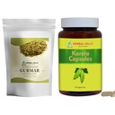 HERBAL HILLS Gurmar Tea Powder dan Karela Capsules Pack of 2 Combo
