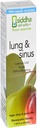 Sidha Remedies Lung & Sinus Spray for Sinus Relief, Contration Relief, Cough Supresan, Cold Medicine, Runny Nose 124; Homepathic Allergy Medicine Relief 124; Non GMO w / Cell Salts, No Alkohol, Gula