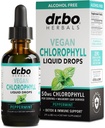 Klorofil Liquid Drops Body Detox - Vegan Liquid Chlorophyll Drops Odor Cleanse Suplement, Energy & Imune Dupport, Internal Deodoran, Badan Deodorizing Supplemen - Natural Deodoran Water 2 oz