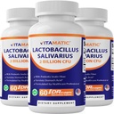 Vitamatic Lactoillus Salivarius 2 Milyar per DR Capsule - 60 Count - Digetical Dukung - Dibuat dengan Prebiotic Inulin Fiber (3 Botol)