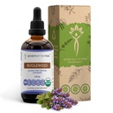Rahasia dari Tribe Bugleweed Tirture Alcohol-Free Liquid Extract, USDA Organic Bugleweed (Lycopus Virginicus) Dry Herb (4 FL OZ)